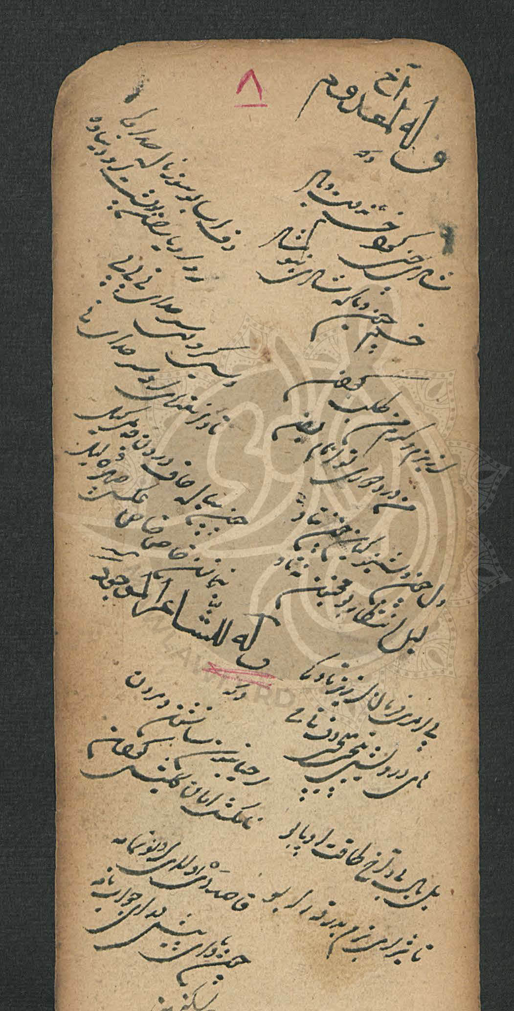 بەیاضی بێ ناو