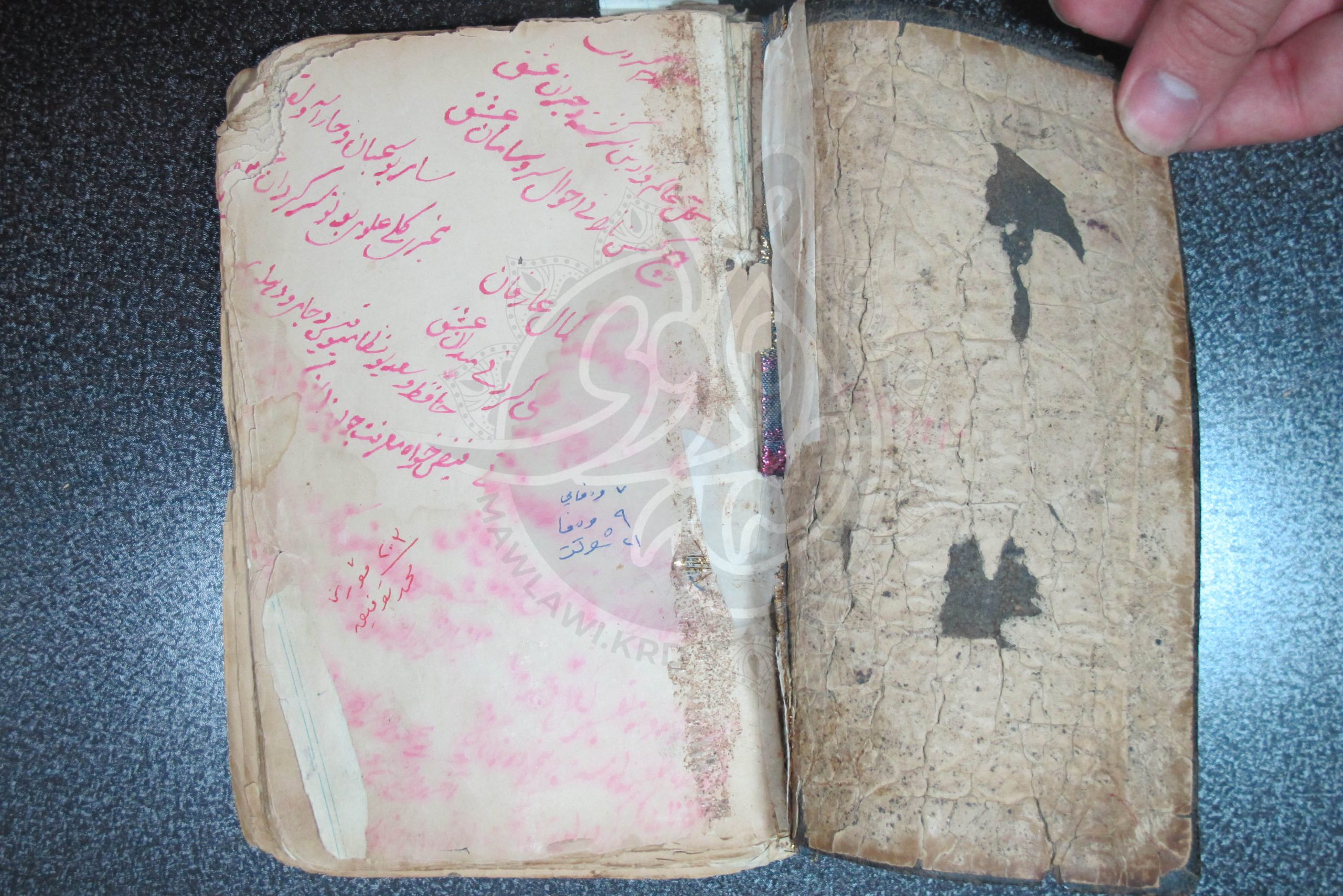 كەشكۆڵی تۆفیق