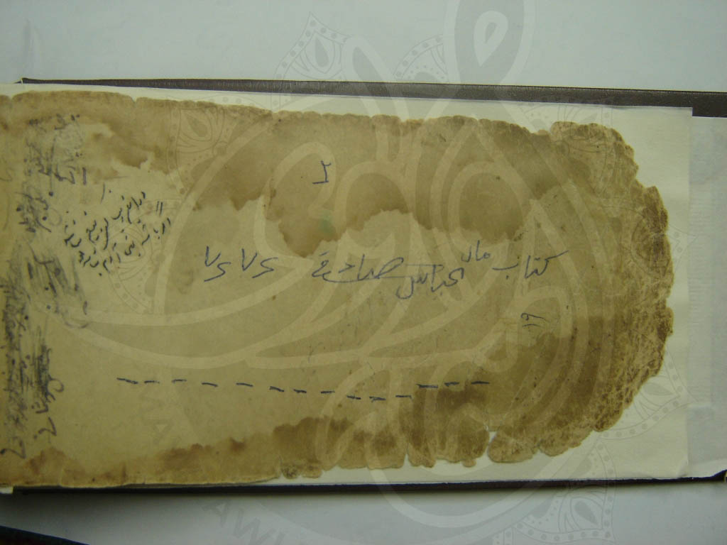 كەشكۆلی جوانڕۆیی