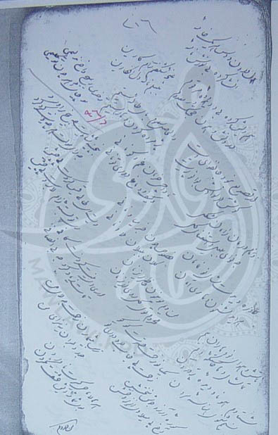 كەشكۆڵی سەڵەسیی