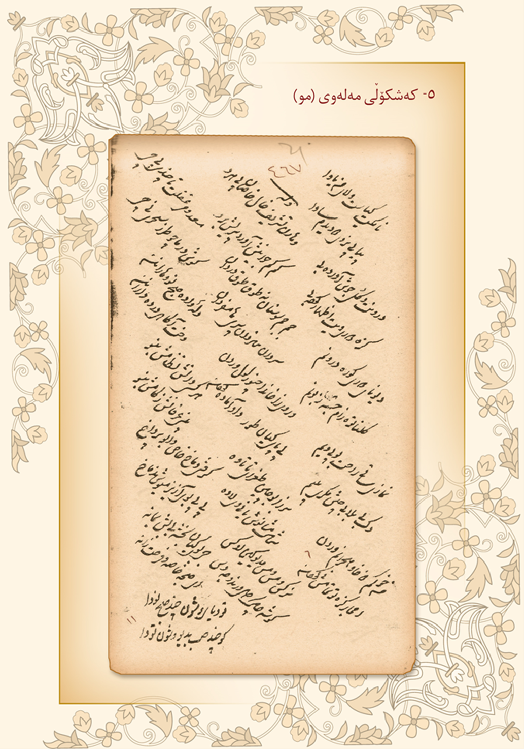 كه‌شكۆڵی مه‌وله‌وی